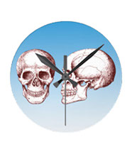 The human skull singularly and in groups, in various colors and arrangements. Clocks.