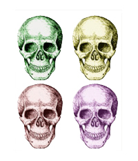 The human skull singularly and in groups, in various colors and arrangements. Greetings cards.