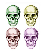 The human skull singularly and in groups, in various colors and arrangements. Greetings cards.