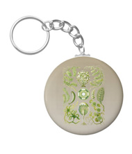 Key chain with algae designs