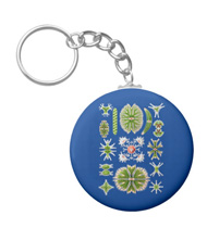 Key chain with algae designs