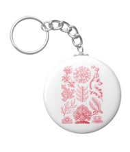 Key chain with algae designs