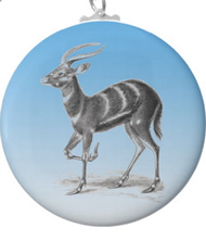 Key chains with antelope designs