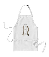 bones of the human body, aprons