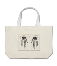 Bones of the human hand on bags