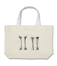 Bones of the human lower limb, bags