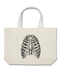 bones of the human body, bags