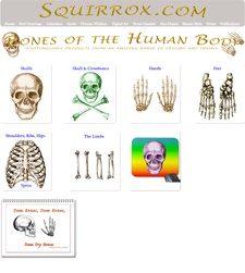 Bones of the Human Body