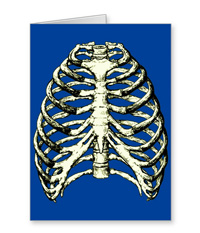 bones of the human body, cards