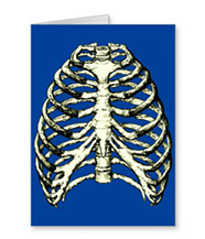 bones of the human body, cards