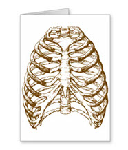 bones of the human body, cards