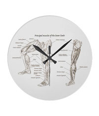 Bones of the human lower limb, clocks