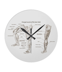 Bones of the human lower limb, clocks