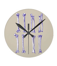 Bones of the human lower limb, clocks