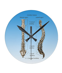 bones of the human body,  clocks