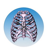 bones of the human body,  clocks