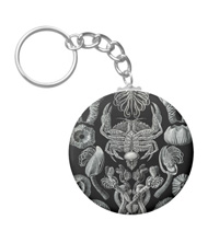 Keychains with crustacean designs, based on the drawings of Ernst Haeckel