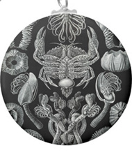 Keychains with crustacean designs, based on the drawings of Ernst Haeckel