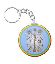 Keychains with crustacean designs, based on the drawings of Ernst Haeckel