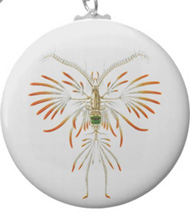 Keychains with crustacean designs, based on the drawings of Ernst Haeckel