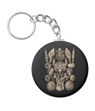 Keychains with crustacean designs, based on the drawings of Ernst Haeckel