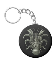 Keychains with crustacean designs, based on the drawings of Ernst Haeckel