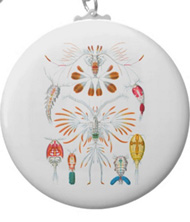 Keychains with crustacean designs, based on the drawings of Ernst Haeckel