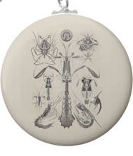 Keychains with crustacean designs, based on the drawings of Ernst Haeckel