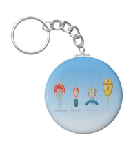 Keychains with crustacean designs, based on the drawings of Ernst Haeckel