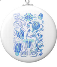 Keychains with jellyfish designs, based on the drawings of Ernst Haeckel