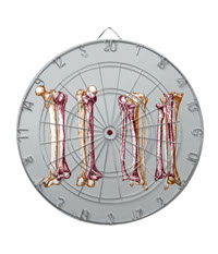 Bones of the human lower limb, dart boards