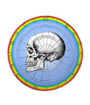 Details of the human skull singularly and in groups, in various colors and arrangements. Dart boards