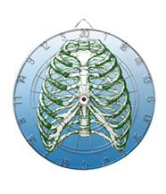 bones of the human body, dart boards