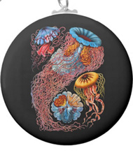 Keychains with jellyfish designs, based on the drawings of Ernst Haeckel