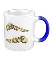 Mugs with colourful bones of the human foot