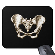 bones of the human body, mouse mats