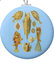 Keychains with fish designs, based on the drawings of Ernst Haeckel