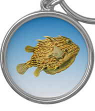 Keychains with fish designs, based on the drawings of Ernst Haeckel