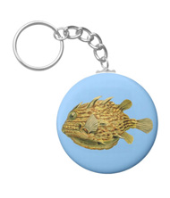 Keychains with fish designs, based on the drawings of Ernst Haeckel