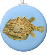 Keychains with fish designs, based on the drawings of Ernst Haeckel