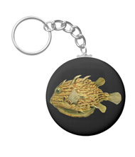 Keychains with fish designs, based on the drawings of Ernst Haeckel