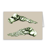 Greetings cards and post cards featuring the bones of the human foot