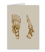 Greetings cards and post cards featuring the bones of the human foot