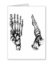 Greetings cards and post cards featuring the bones of the human foot