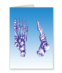 Greetings cards and post cards featuring the bones of the human foot