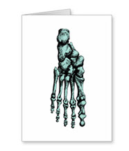 Greetings cards and post cards featuring the bones of the human foot