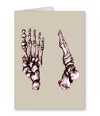 Greetings cards and post cards featuring the bones of the human foot