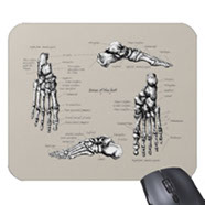 Mouse mats (mouse pads) with bones of the human foot