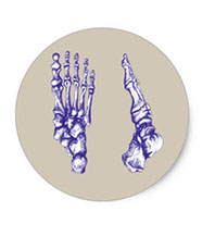 Stickers of bones of the human foot