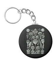 Keychains with fungi designs, based on the drawings of Ernst Haeckel